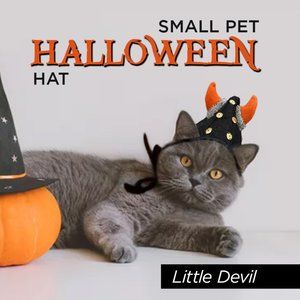 Small Pet Halloween Hat ~ "Little Devil" 😈